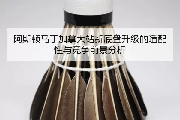 a-si-dun-ma-ding-jia-na-da-zhan-xin-di-pan-sheng-ji-de-shi-pei-xing-yu-jing-zheng-qian-jing-fen-xi-2-345.jpg